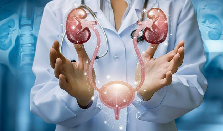 Nephrology Department at Sanjeeva Care